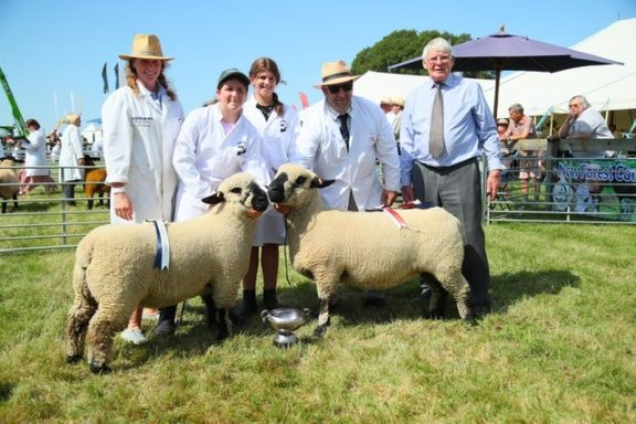New Forest 2024 Breed Champion and Reserve Champion